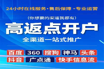 精准投放，高效转化——SEM竞价优化案例集